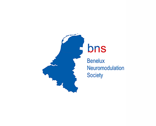 BNS logo